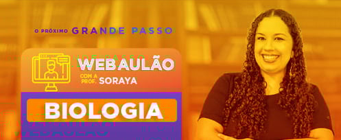 OPGP_AULAOPROF_Soraya_THUMB_510x210px
